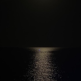 Suicenbalık