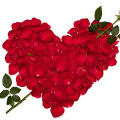 tehlikeli_hatun22