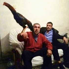 06_behzat_ç