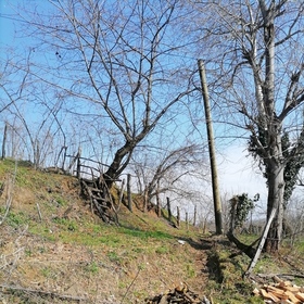 Koterlek