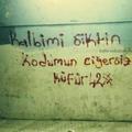 Nilguntuter