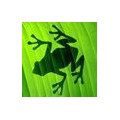 frogman