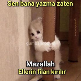 Bilginsağlıkçı
