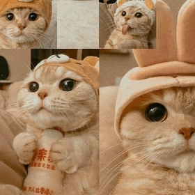 banagöree
