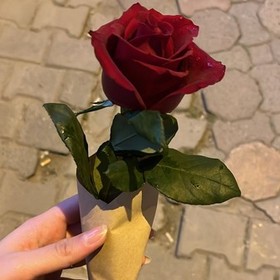 Bcc_9777