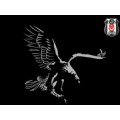 mıstık21