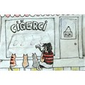 asitikaçmışkola