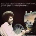 Ginger85