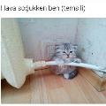 nurangsshs