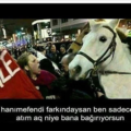 meraklı3455