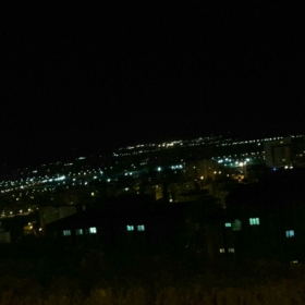 selinsayarr