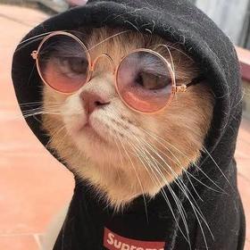 мıтняasss