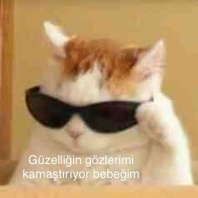 es_ruzgar