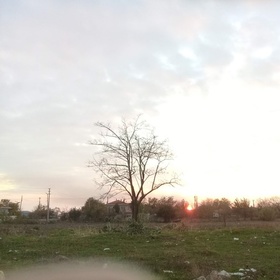 Kasımperisi