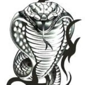 SiyahKobra