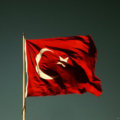thePurple