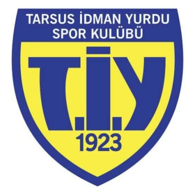 tiy33