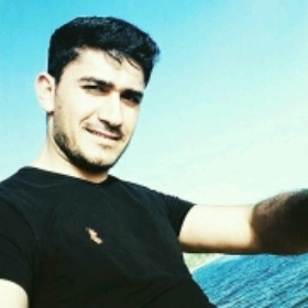 servet6534