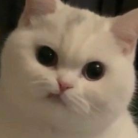 baepq