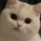 baepq