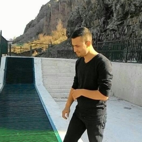 alimetin_06