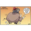 koalanejdet