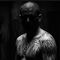 TheScofield