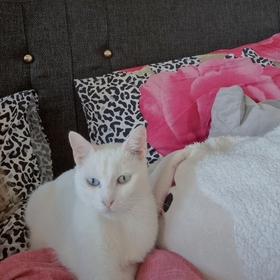Ilaydaaltinta92