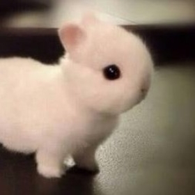 rererörö