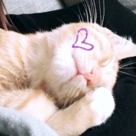 zzxxxxzz
