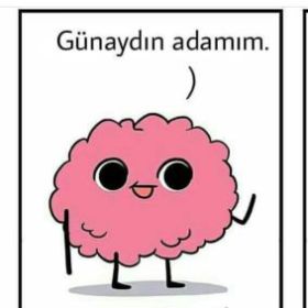 Ahmet_555