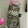 Seyma113
