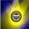 bhjbnjkhnjlnblş