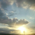 melis_9637