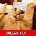 SalamSucukSosisKaşar