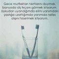 alpkurt21