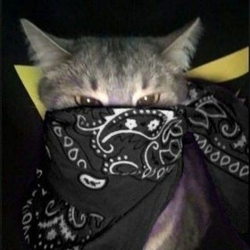 BorsaKupeli