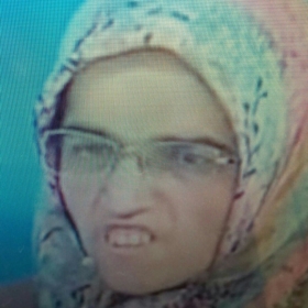necarsafiya
