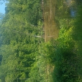 legend4334