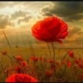 husrann