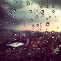 nar_dan_78