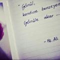ayse551