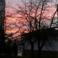 Missandmiss