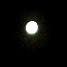 Grayvolf