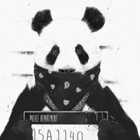 hijyenikpanda