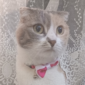 SecurityLady