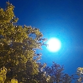 Hamza_Kılıç