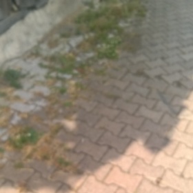 mehmetarslan223