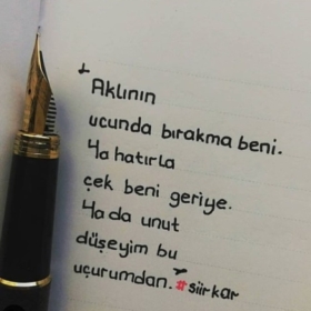 Efesngr