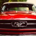 BatuTuvit